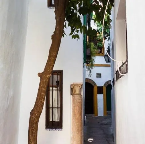 Perez De Castro Appartement