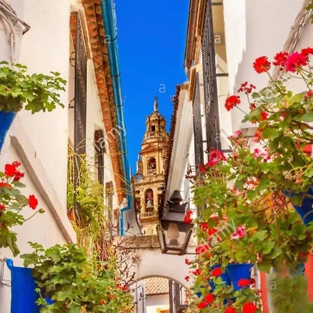 Centro-mezquita 4 A 8 Huespedes Apartment *