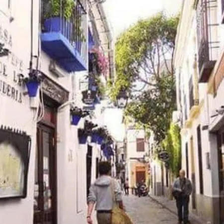 Centro-mezquita 4 A 8 Huespedes