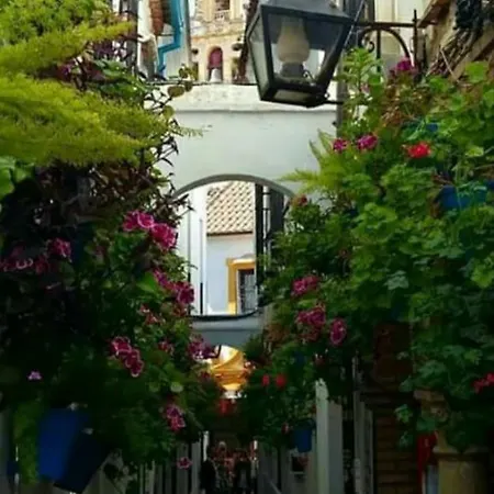 Centro-mezquita 4 A 8 Huespedes Apartment Córdoba