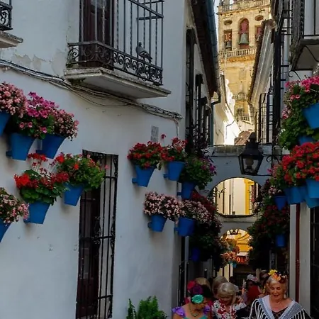 Centro-mezquita 4 A 8 Huespedes